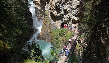 Our Banff tours include stop at Johnston Canyon
