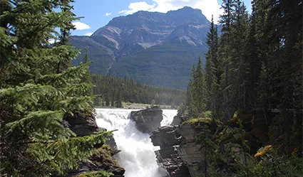 Water crashes on the rock below at Athabasca Falls located in Banff National Park. This is a major stop on the Canadian Rockies tour.