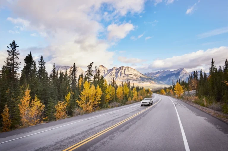 Car travelling along the Icefield Parkway during fall