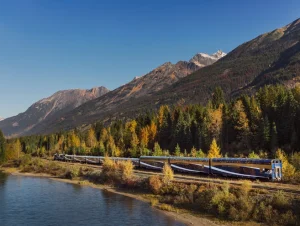 Rocky Mountaineer winding through the multi-colored forest during the autumn.