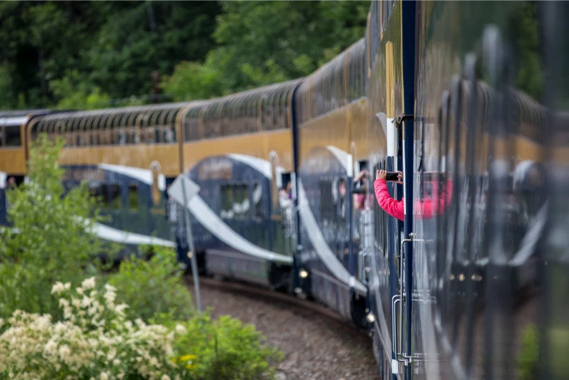 A view of blooming flowers from the side of the train.