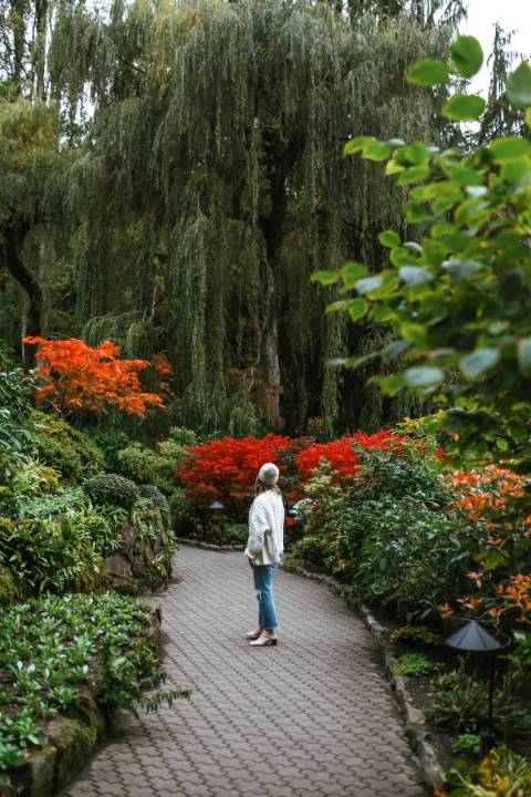 Read more about the article Victoria, British Columbia – Your Friendly Travel Guide