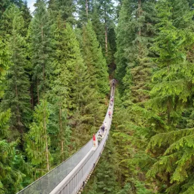 capilano-suspension-bridge-british-columbia (1)